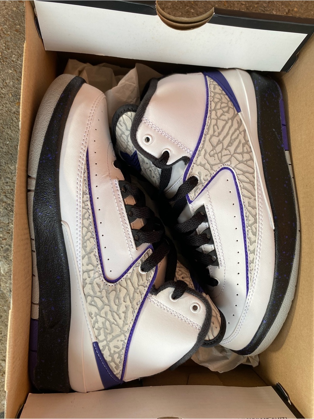 Jordan 2 Concord Grape
